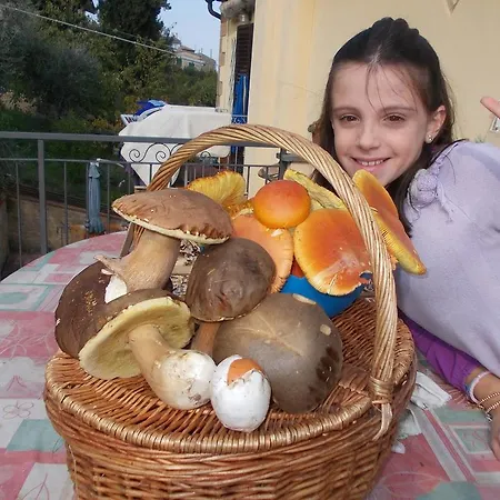 アパート Casa Ricciardi *